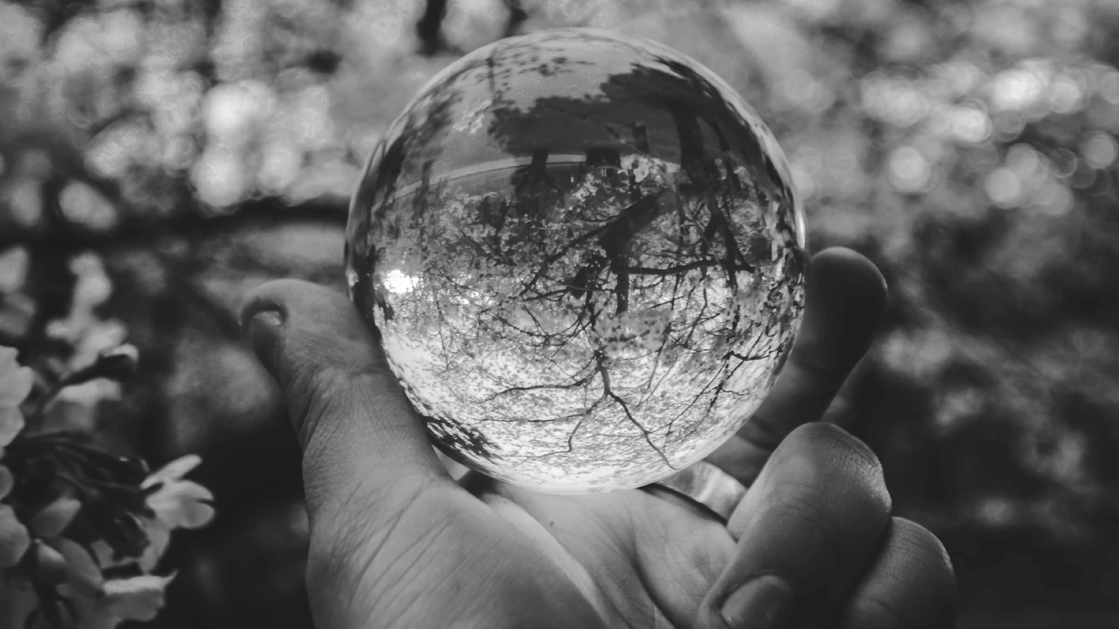 The GrowthOps crystal ball for Christmas 2019